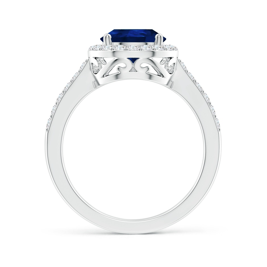 10x8mm AA Pear Sapphire Ring with Diamond Halo in White Gold side 199