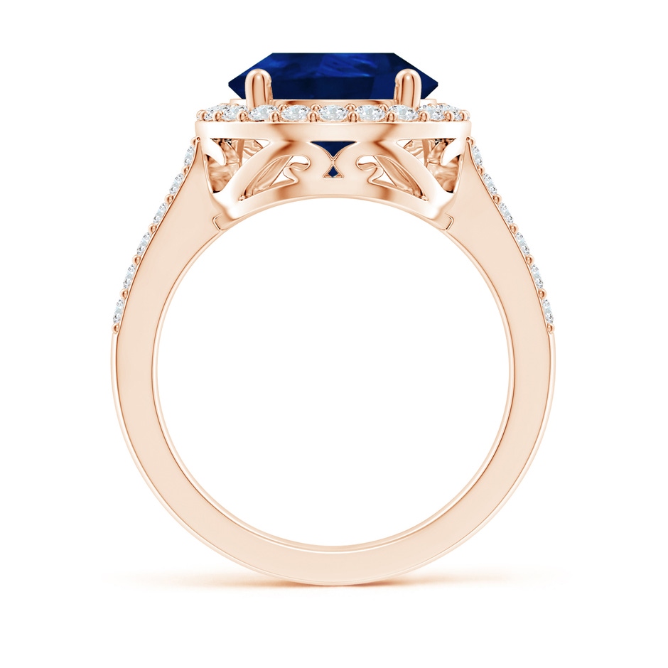 14x10mm AA Pear Sapphire Ring with Diamond Halo in Rose Gold side 199