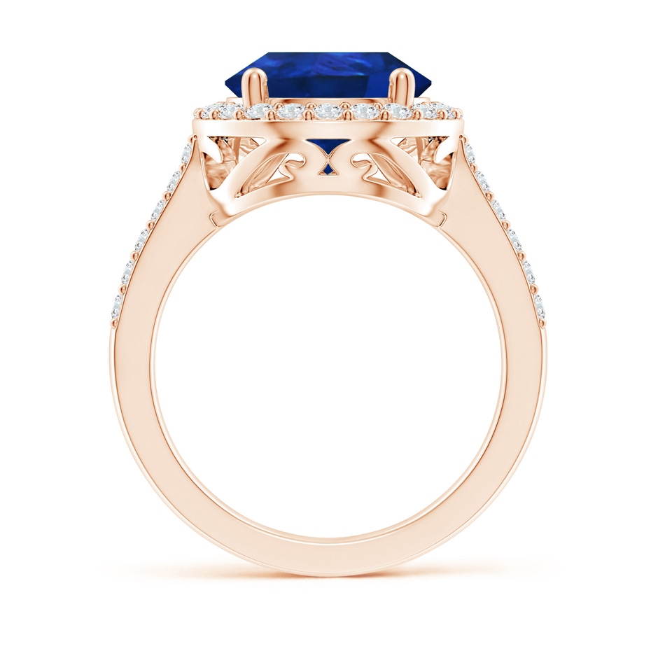14x10mm AAA Pear Sapphire Ring with Diamond Halo in Rose Gold side 199