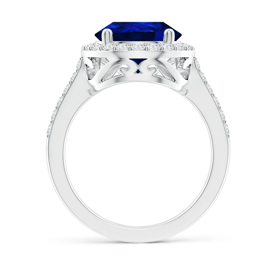 14x10mm AAAA Pear Sapphire Ring with Diamond Halo in P950 Platinum side 199