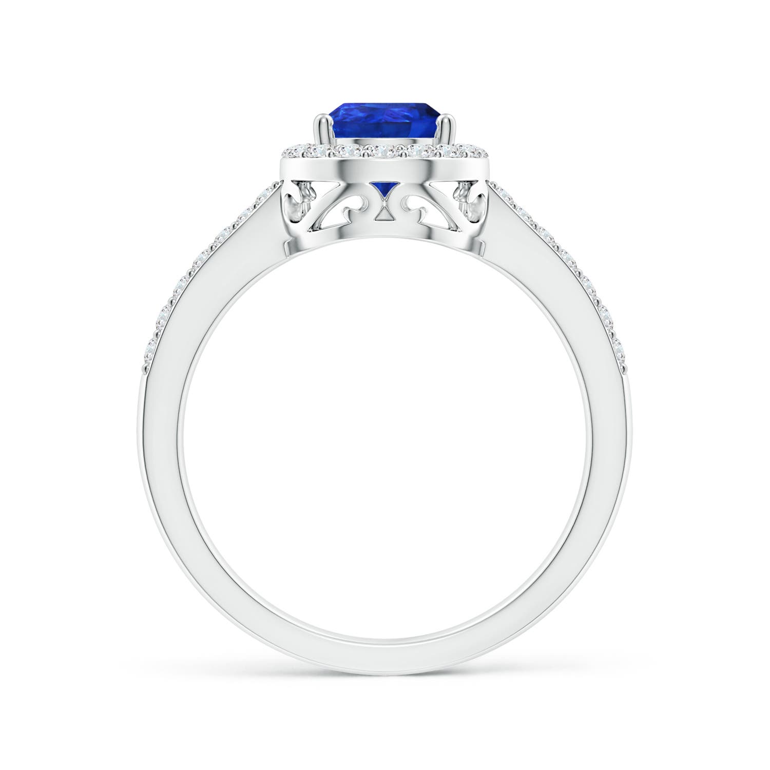 AAA - Tanzanite / 1.41 CT / 14 KT White Gold