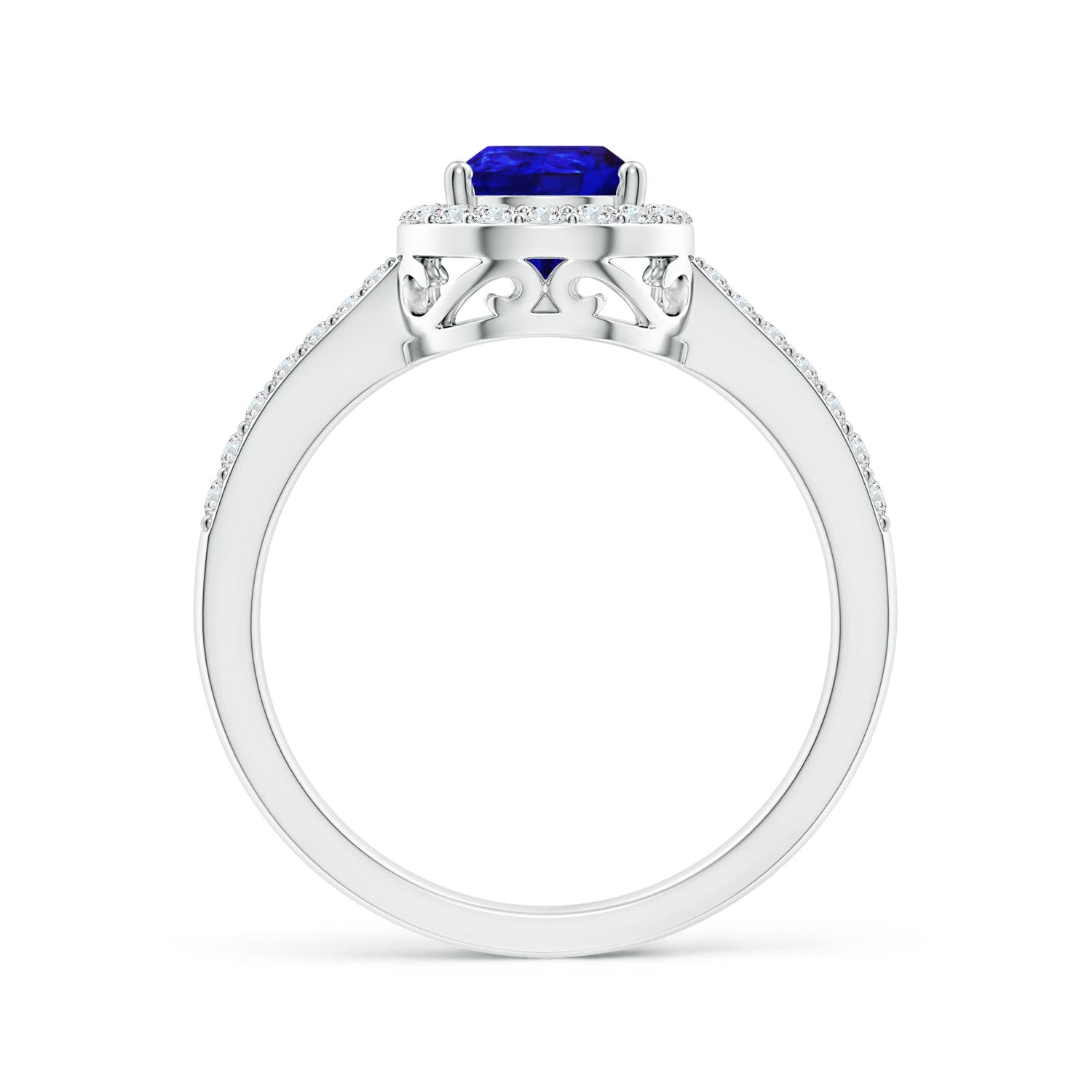 AAAA - Tanzanite / 1.41 CT / 14 KT White Gold