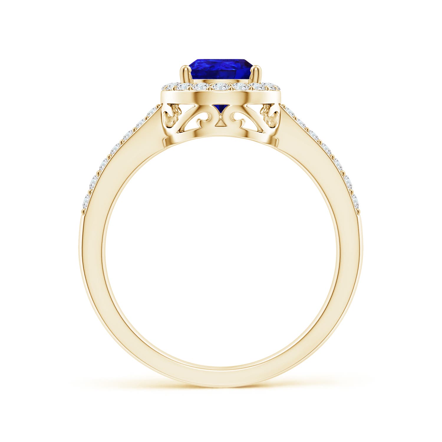 AAAA - Tanzanite / 1.41 CT / 14 KT Yellow Gold