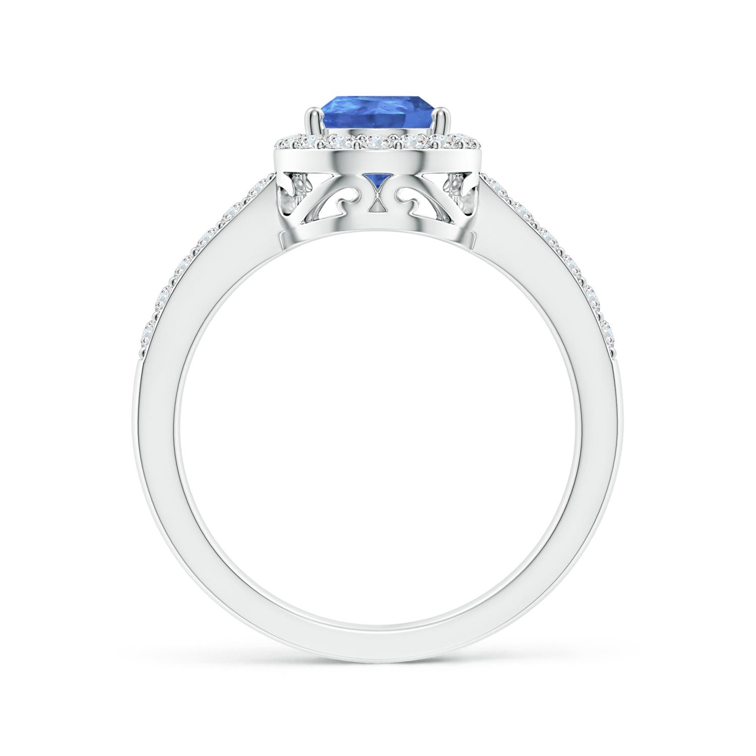 AA - Tanzanite / 1.66 CT / 14 KT White Gold