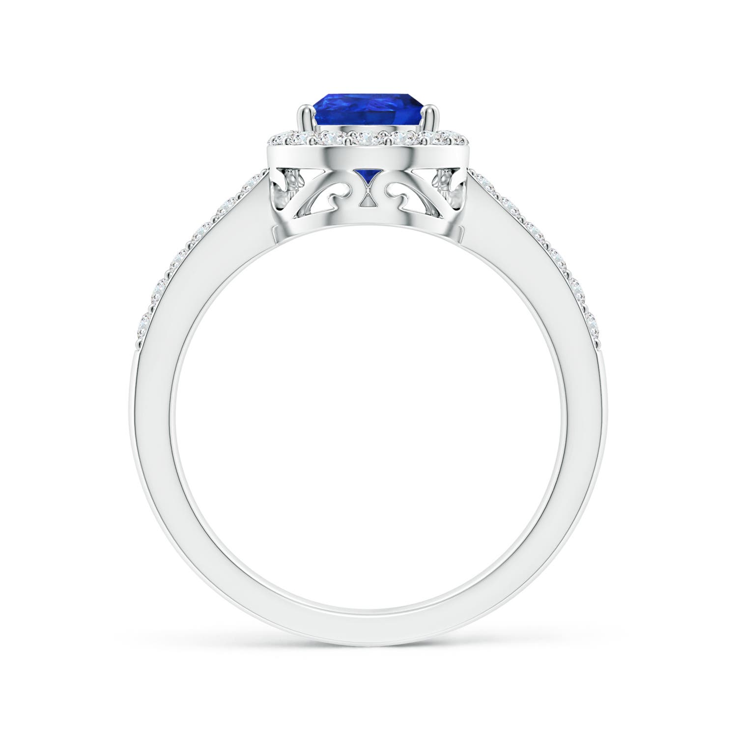 AAA - Tanzanite / 1.66 CT / 14 KT White Gold