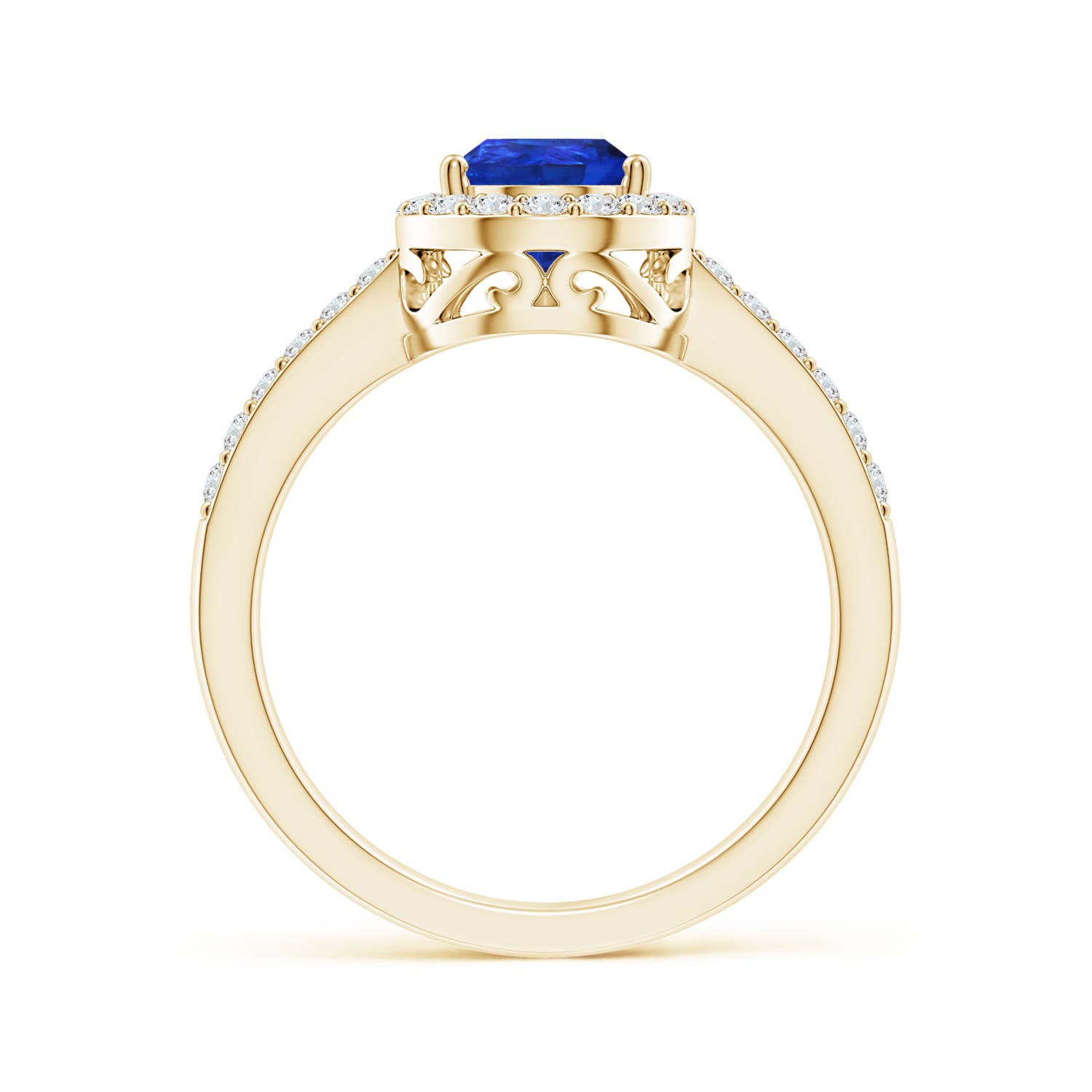 AAA - Tanzanite / 1.66 CT / 14 KT Yellow Gold