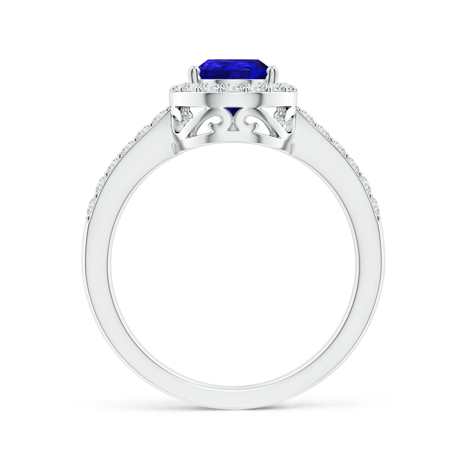 AAAA - Tanzanite / 1.66 CT / 14 KT White Gold