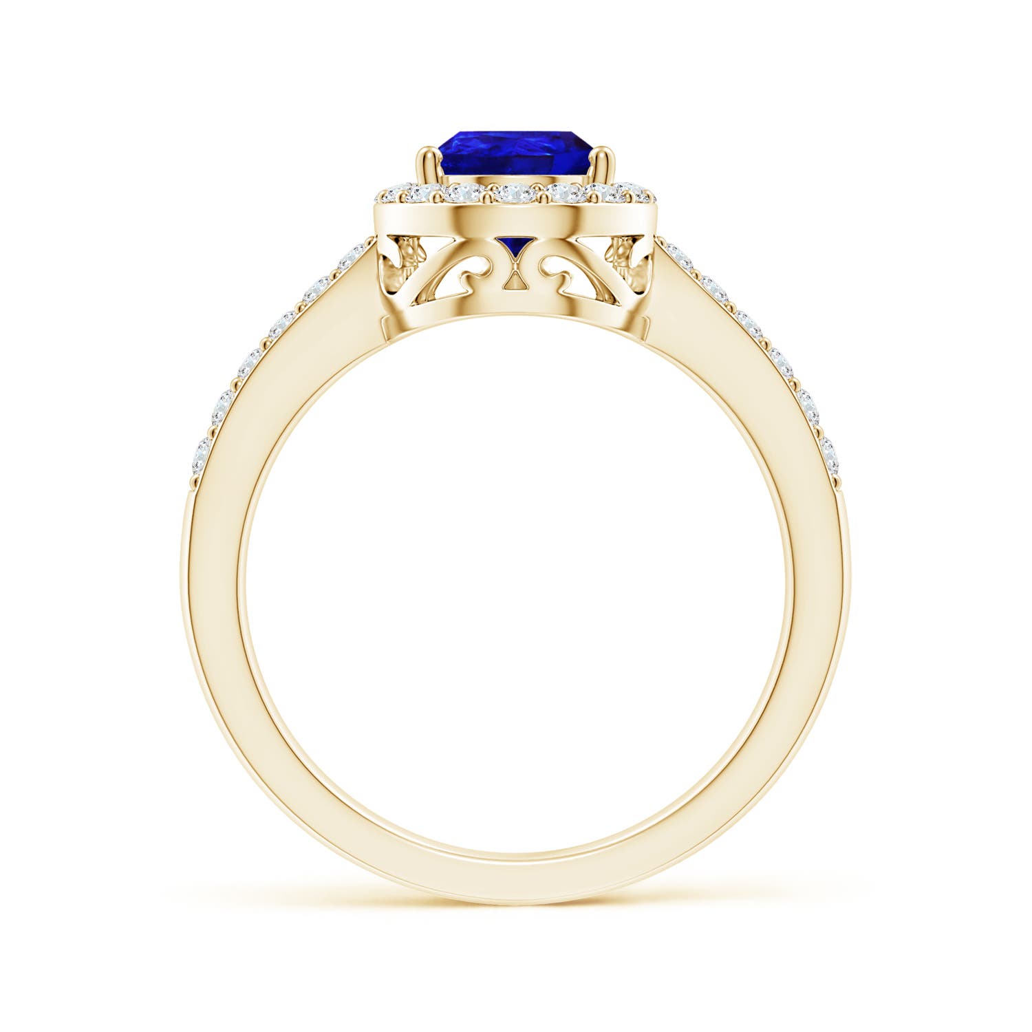 AAAA - Tanzanite / 1.66 CT / 14 KT Yellow Gold