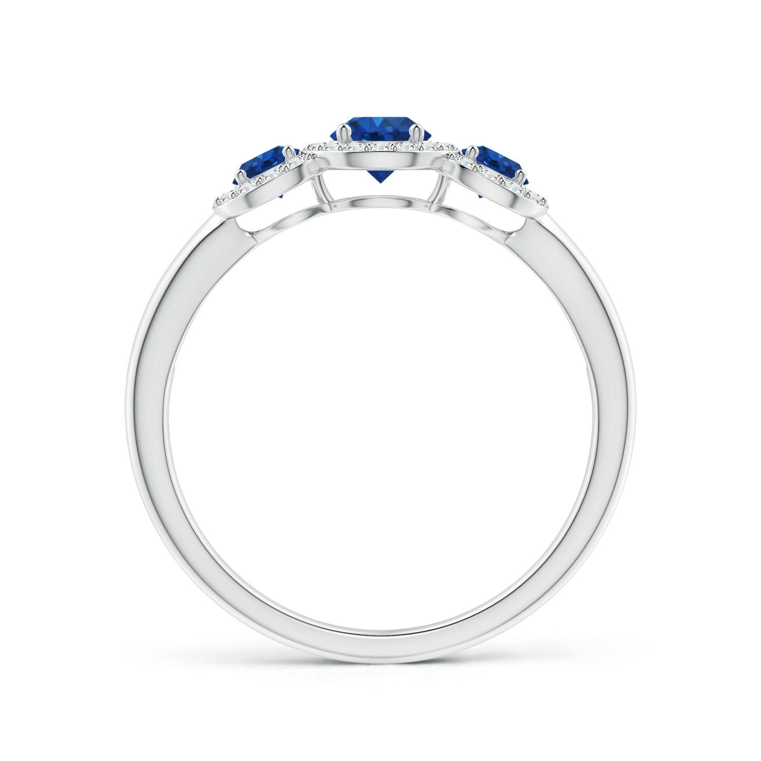 AAA - Blue Sapphire / 0.88 CT / 14 KT White Gold