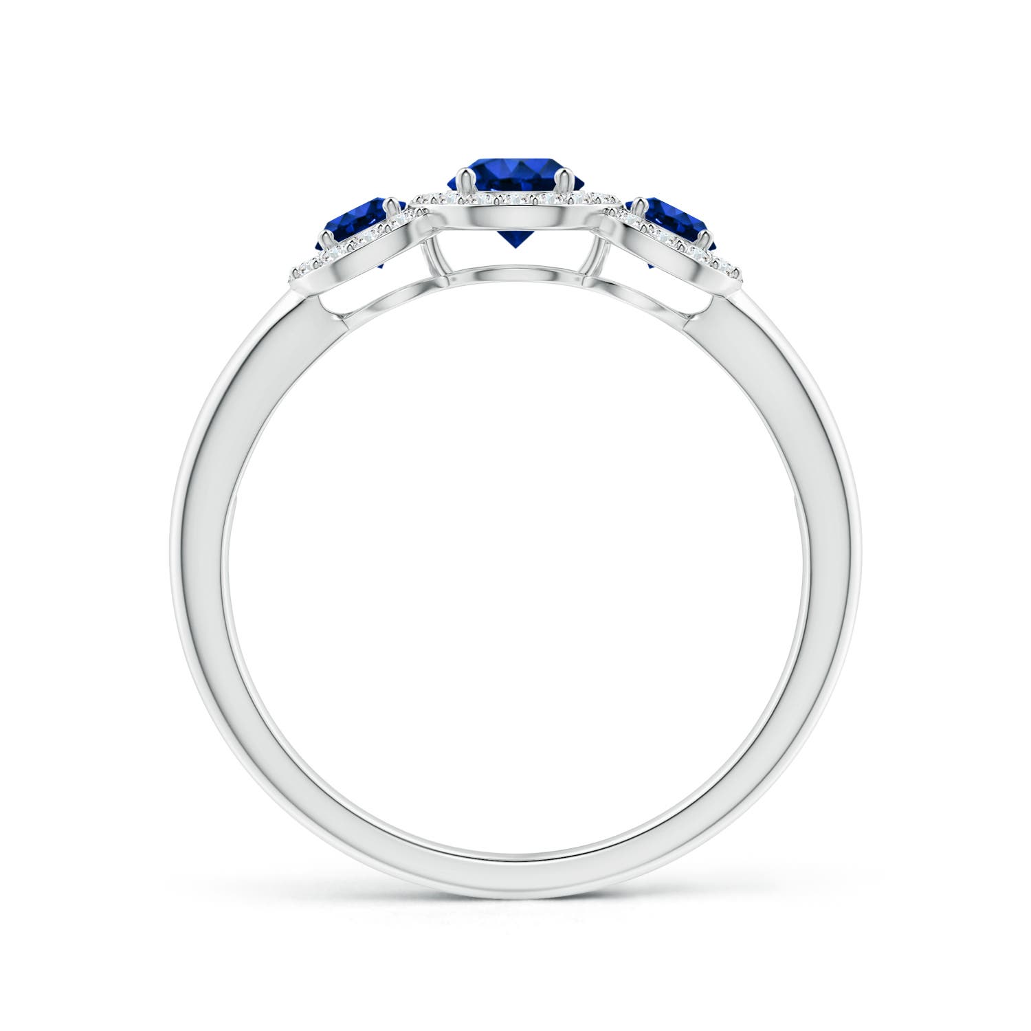 AAAA - Blue Sapphire / 0.88 CT / 14 KT White Gold