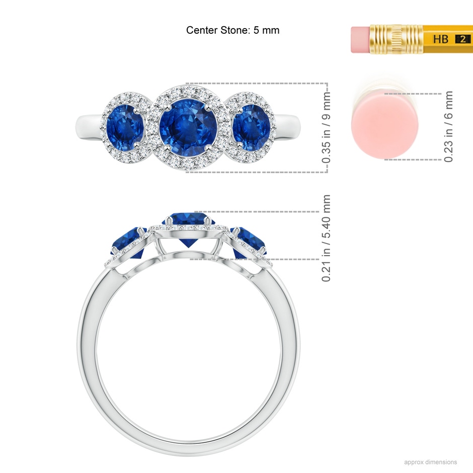 5mm AAA Round Sapphire Three Stone Halo Ring with Diamonds in P950 Platinum ruler