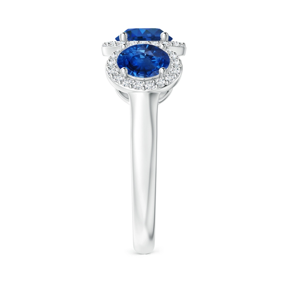 6mm AAA Round Sapphire Three Stone Halo Ring with Diamonds in P950 Platinum side-2