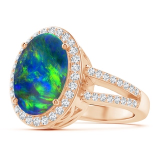 12.25x9.70x3.09mm AA Oval Black Opal Split Shank Halo Ring in Rose Gold