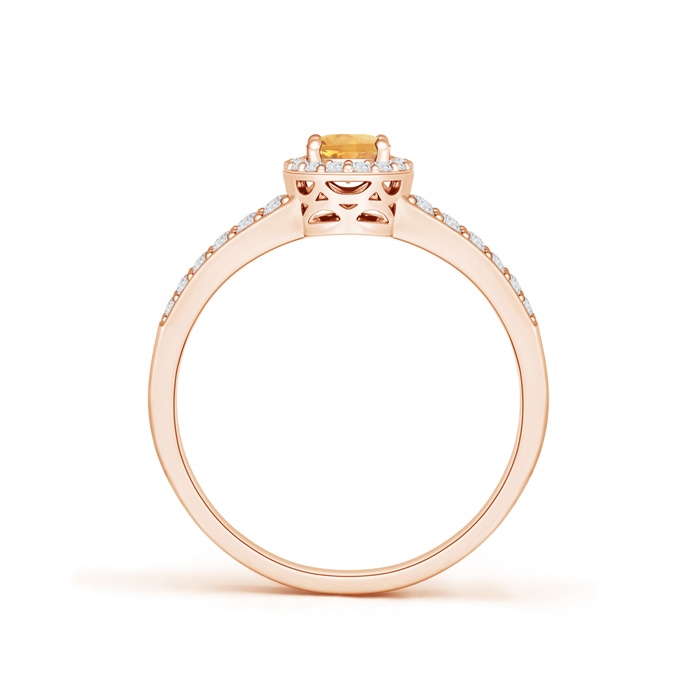 6x4mm A Oval Citrine Split Shank Halo Ring in Rose Gold product image