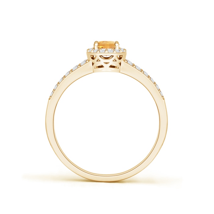 6x4mm A Oval Citrine Split Shank Halo Ring in Yellow Gold product image