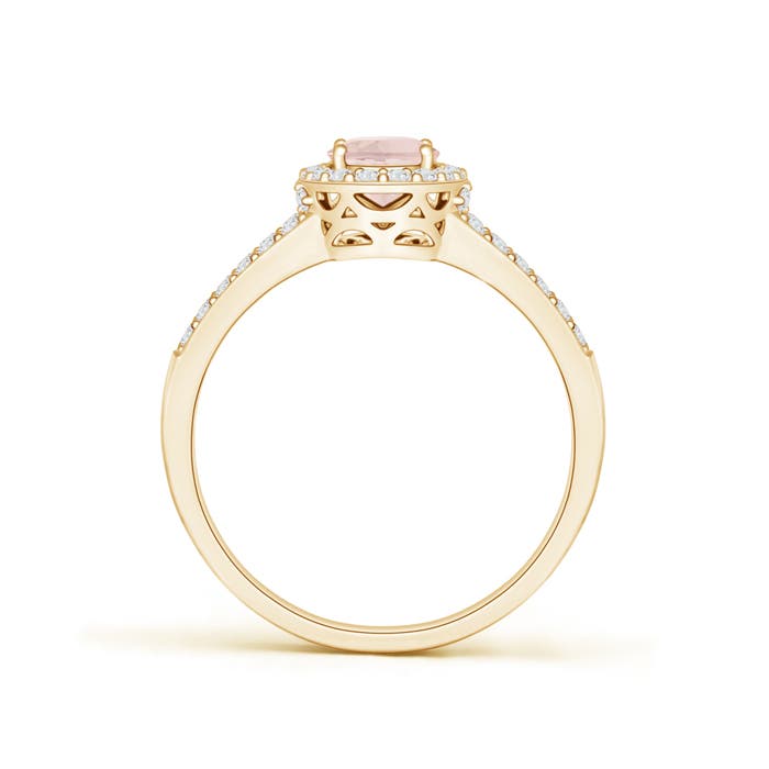 AA - Morganite / 1.07 CT / 14 KT Yellow Gold