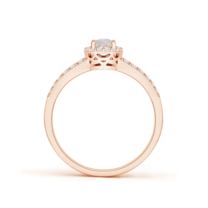 6x4mm AAAA Oval Opal Split Shank Halo Ring in Rose Gold Product Image