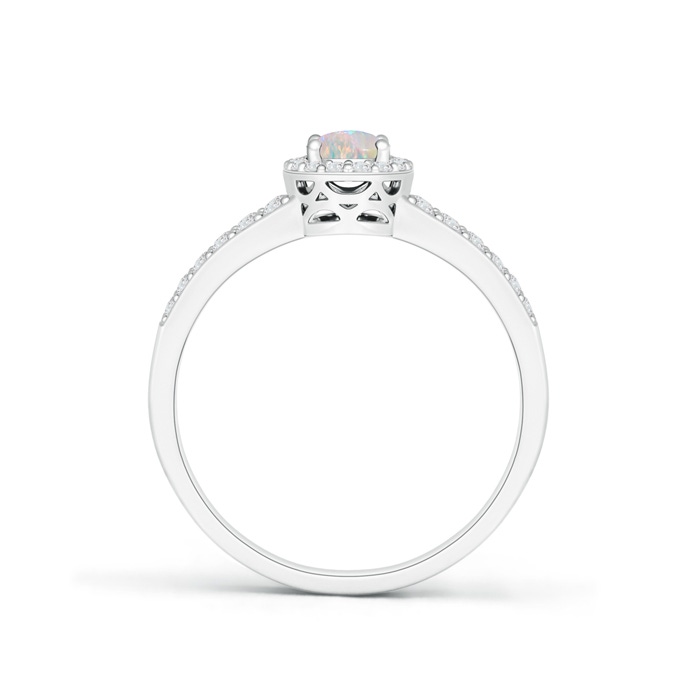 6x4mm AAAA Oval Opal Split Shank Halo Ring in White Gold product image