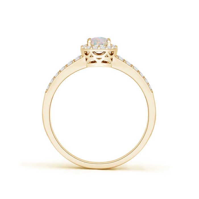 6x4mm AAAA Oval Opal Split Shank Halo Ring in Yellow Gold product image