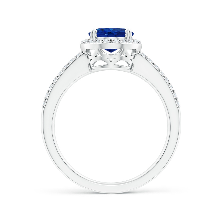 Oval Blue Sapphire Split Shank Halo Ring | Angara