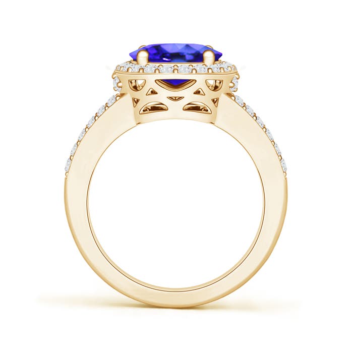 AAA - Tanzanite / 3.35 CT / 14 KT Yellow Gold