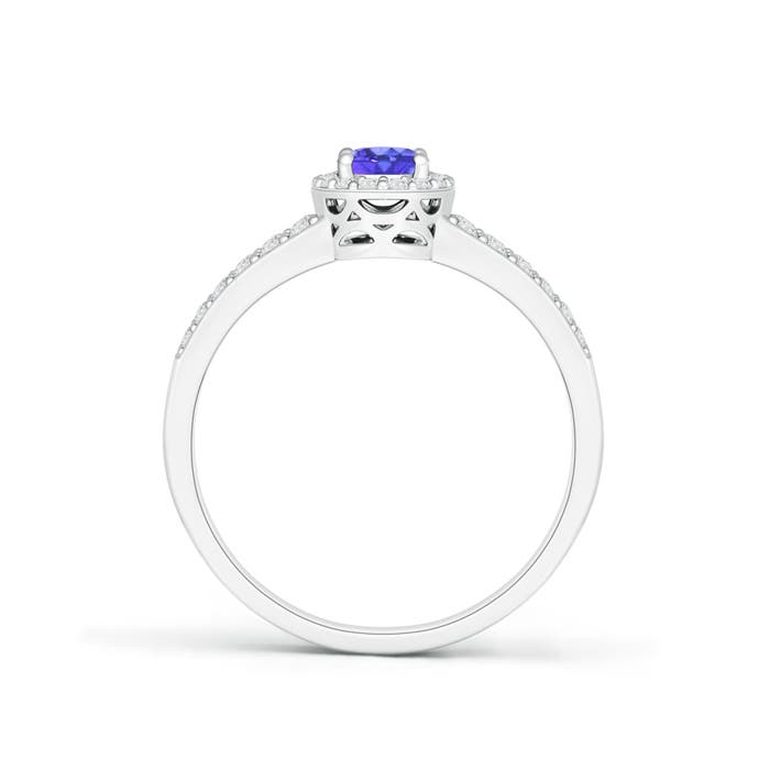 AAA - Tanzanite / 0.77 CT / 14 KT White Gold