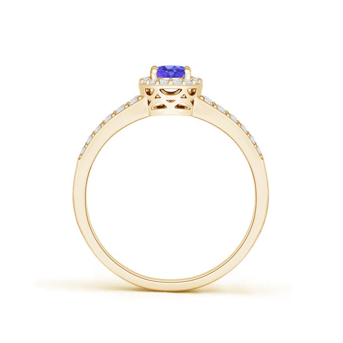 AAA - Tanzanite / 0.77 CT / 14 KT Yellow Gold