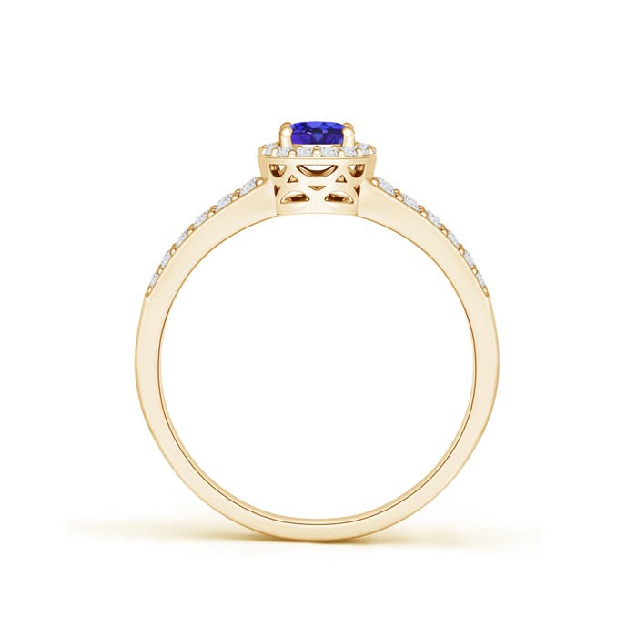 AAAA - Tanzanite / 0.77 CT / 14 KT Yellow Gold