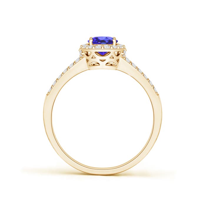 AA - Tanzanite / 1.17 CT / 14 KT Yellow Gold