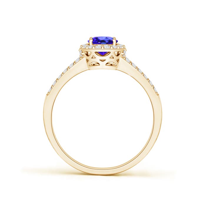 AAA - Tanzanite / 1.17 CT / 14 KT Yellow Gold