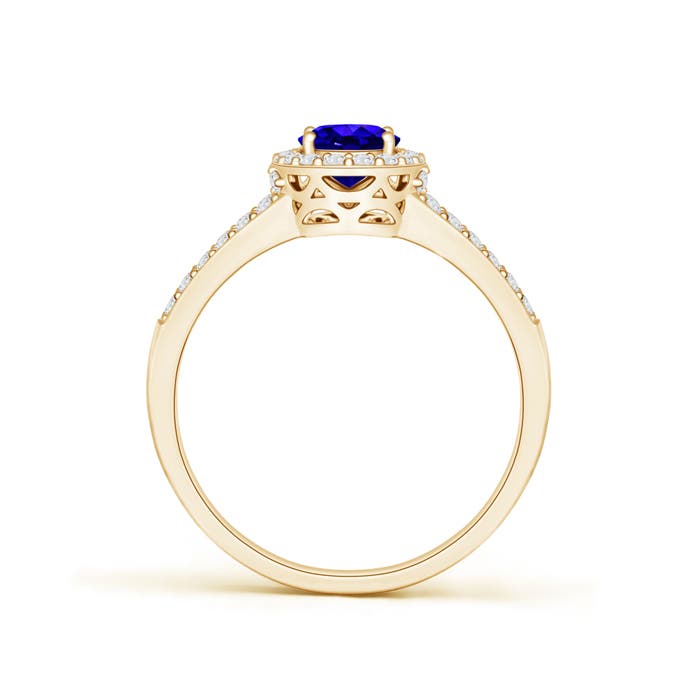 AAAA - Tanzanite / 1.17 CT / 14 KT Yellow Gold