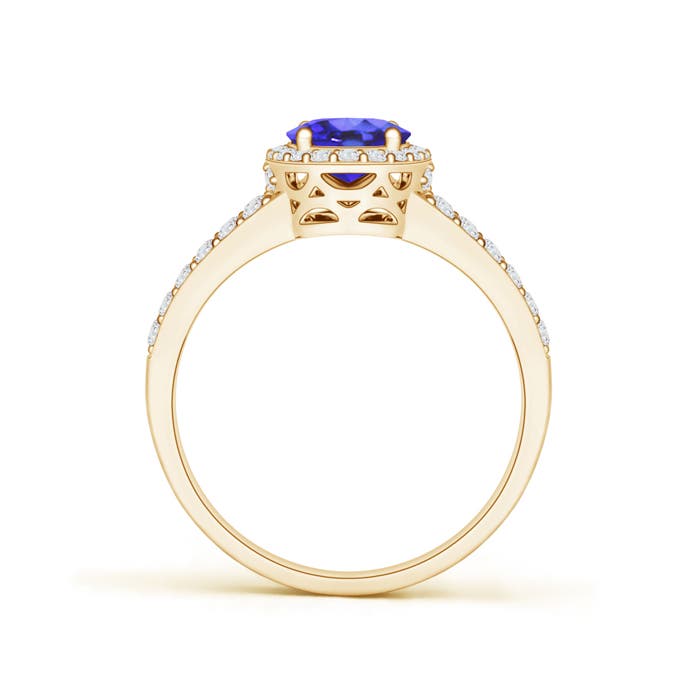 AA - Tanzanite / 1.67 CT / 14 KT Yellow Gold