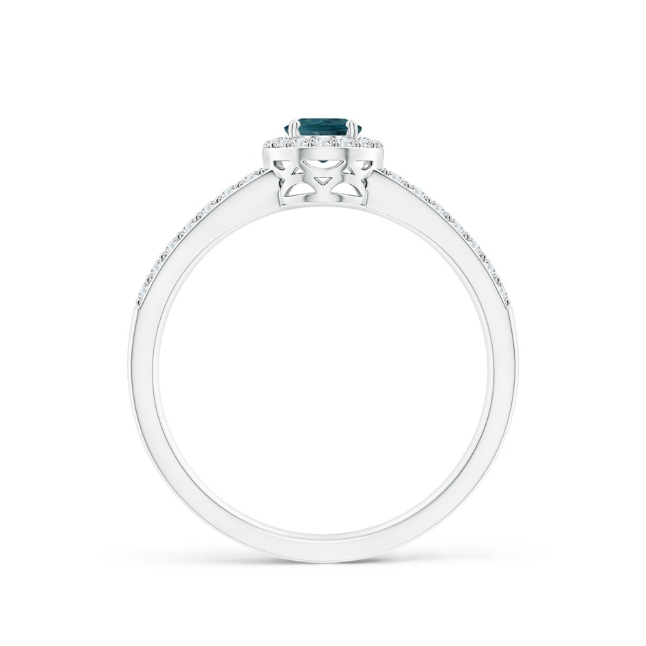 6x4mm AAA Oval Teal Montana Sapphire Split Shank Halo Ring in P950 Platinum side 1