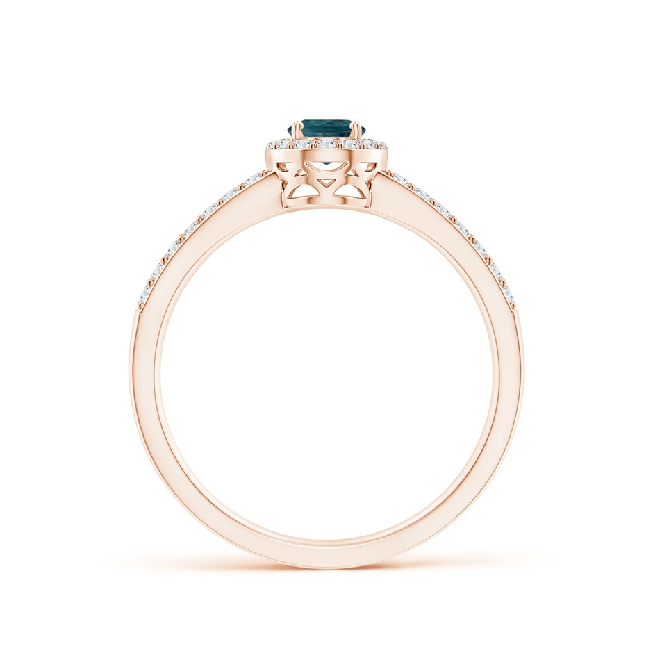 6x4mm AAA Oval Teal Montana Sapphire Split Shank Halo Ring in Rose Gold side 1
