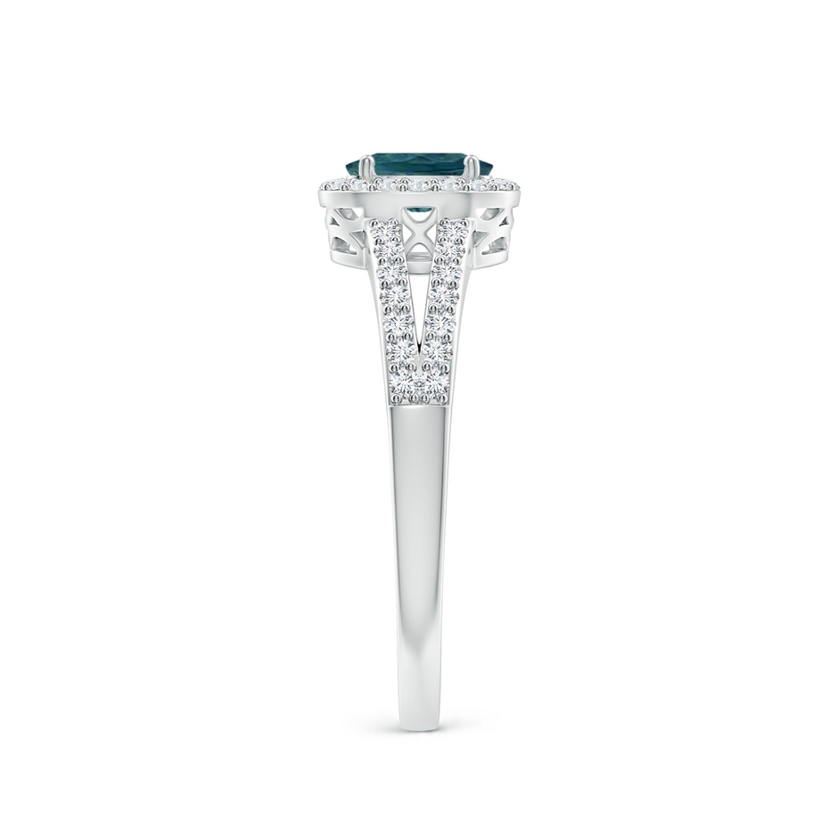 6x4mm AAA Oval Teal Montana Sapphire Split Shank Halo Ring in White Gold side 2