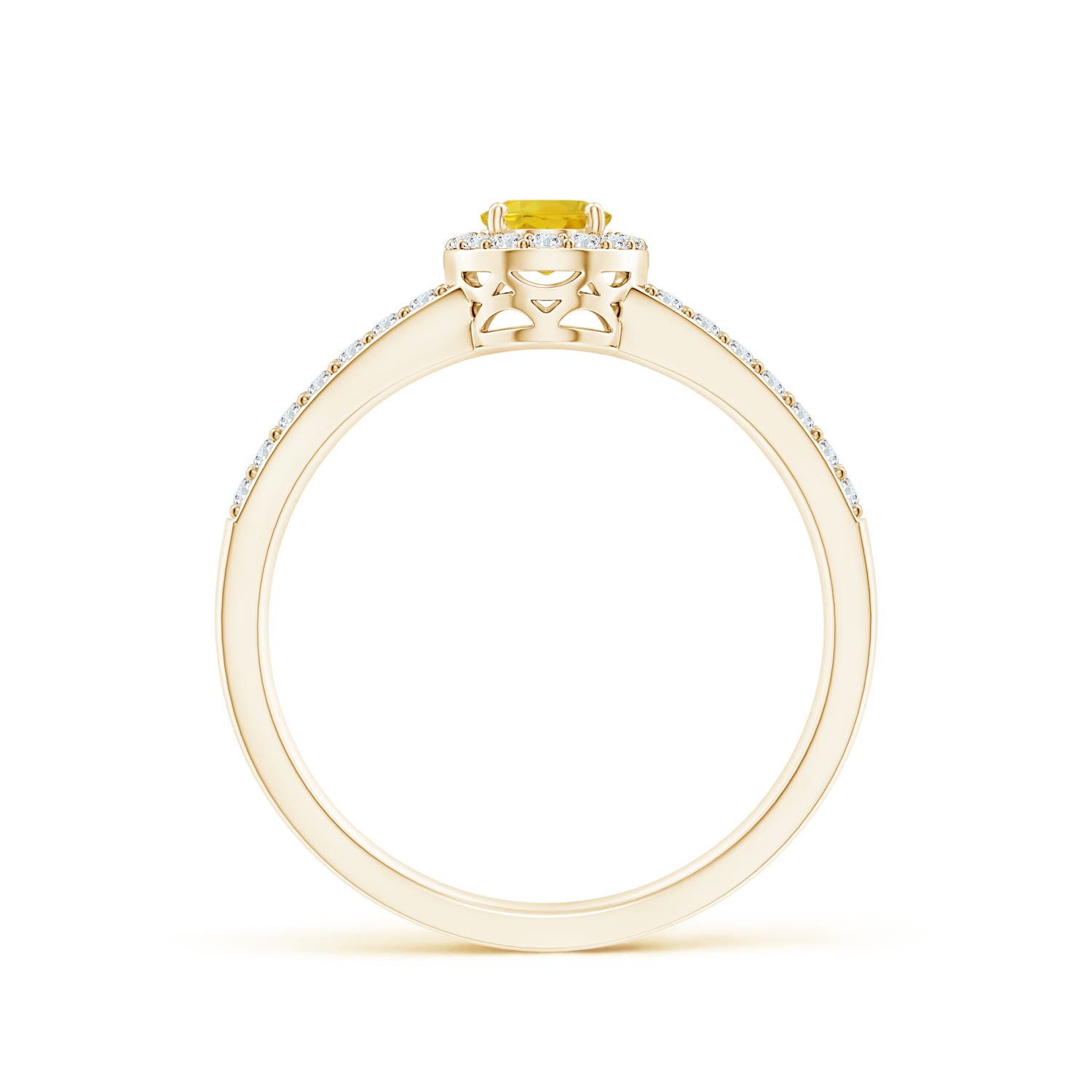 AAA - Yellow Sapphire / 0.98 CT / 14 KT Yellow Gold