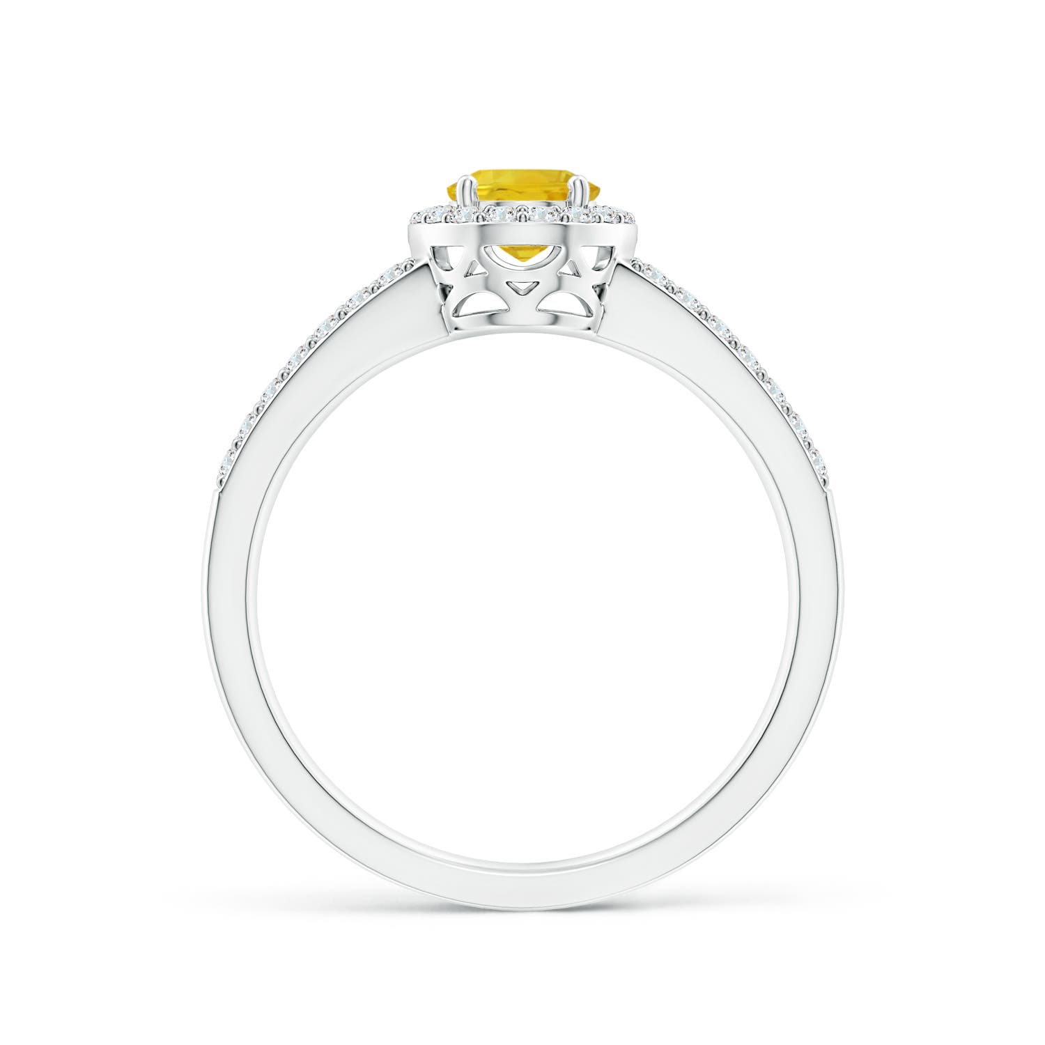 AAA - Yellow Sapphire / 1.37 CT / 14 KT White Gold