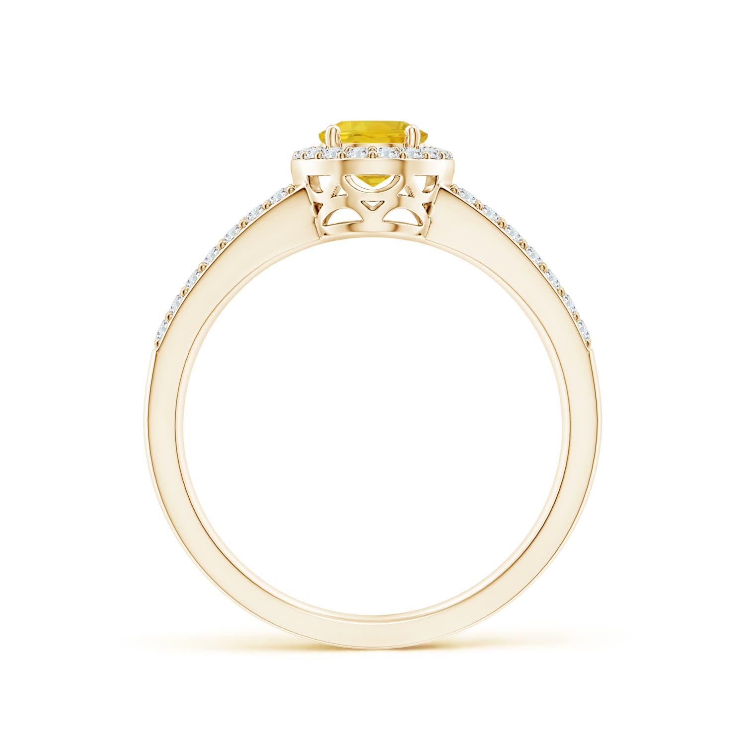 AAA - Yellow Sapphire / 1.37 CT / 14 KT Yellow Gold