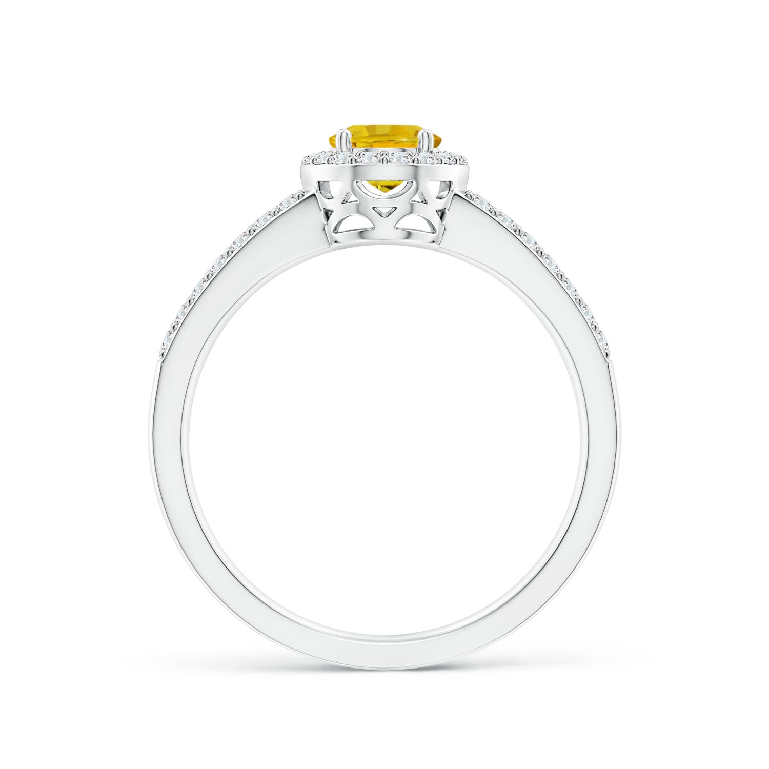 AAAA - Yellow Sapphire / 1.37 CT / 14 KT White Gold