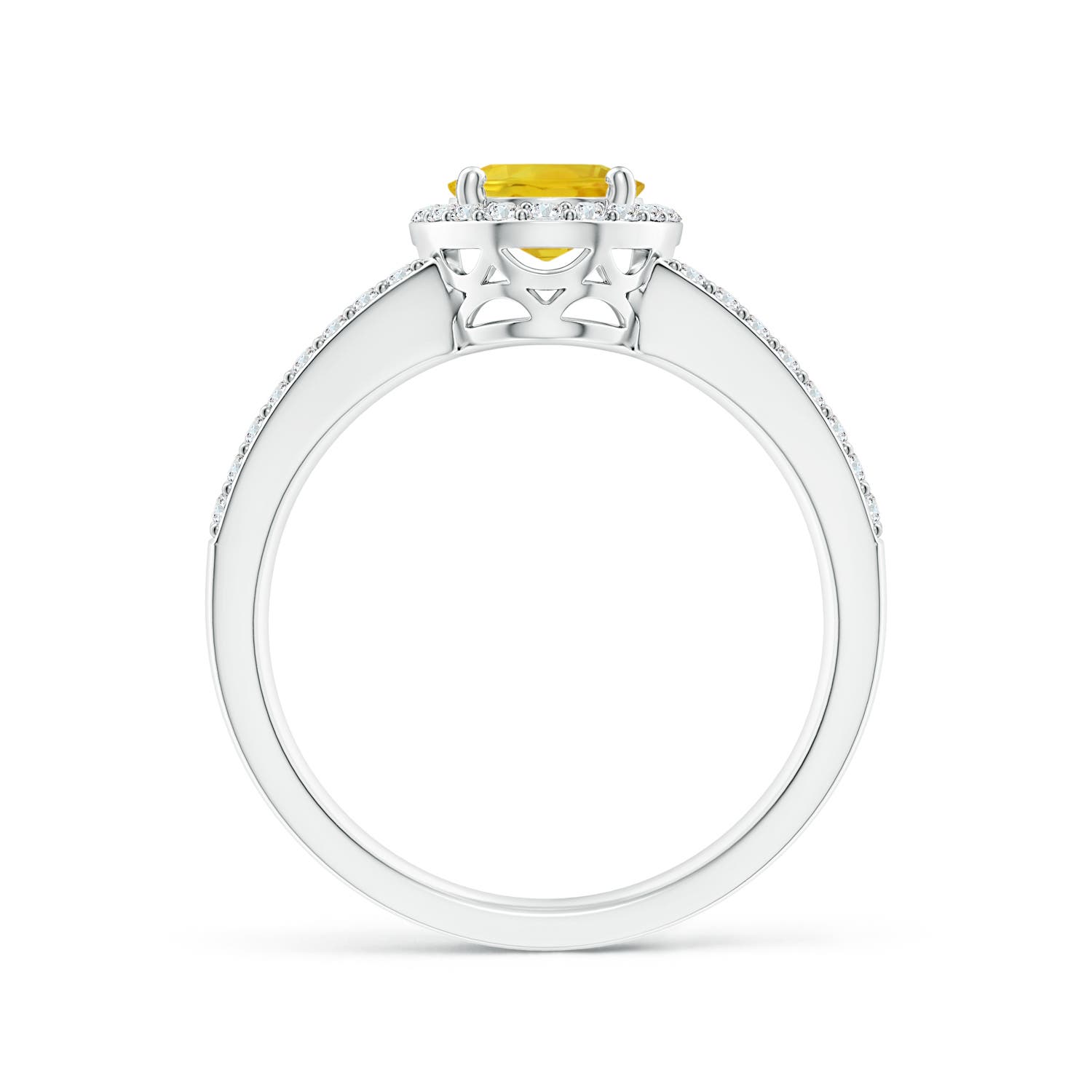 AAA - Yellow Sapphire / 1.92 CT / 14 KT White Gold