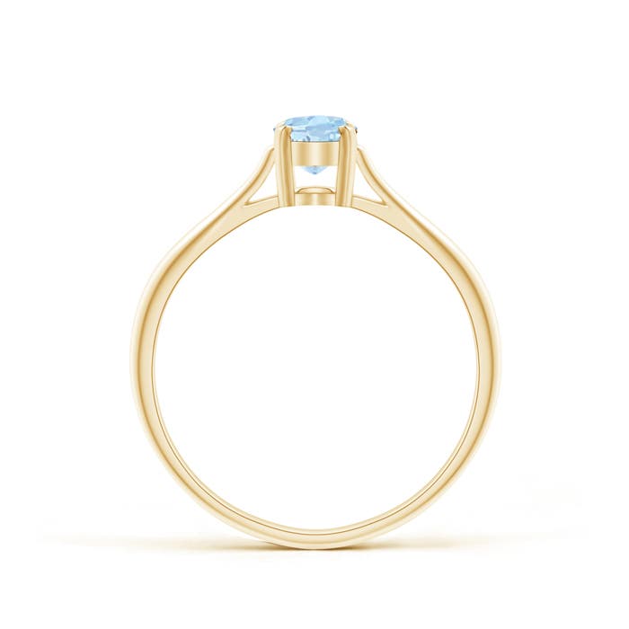 AA - Aquamarine / 0.4 CT / 14 KT Yellow Gold