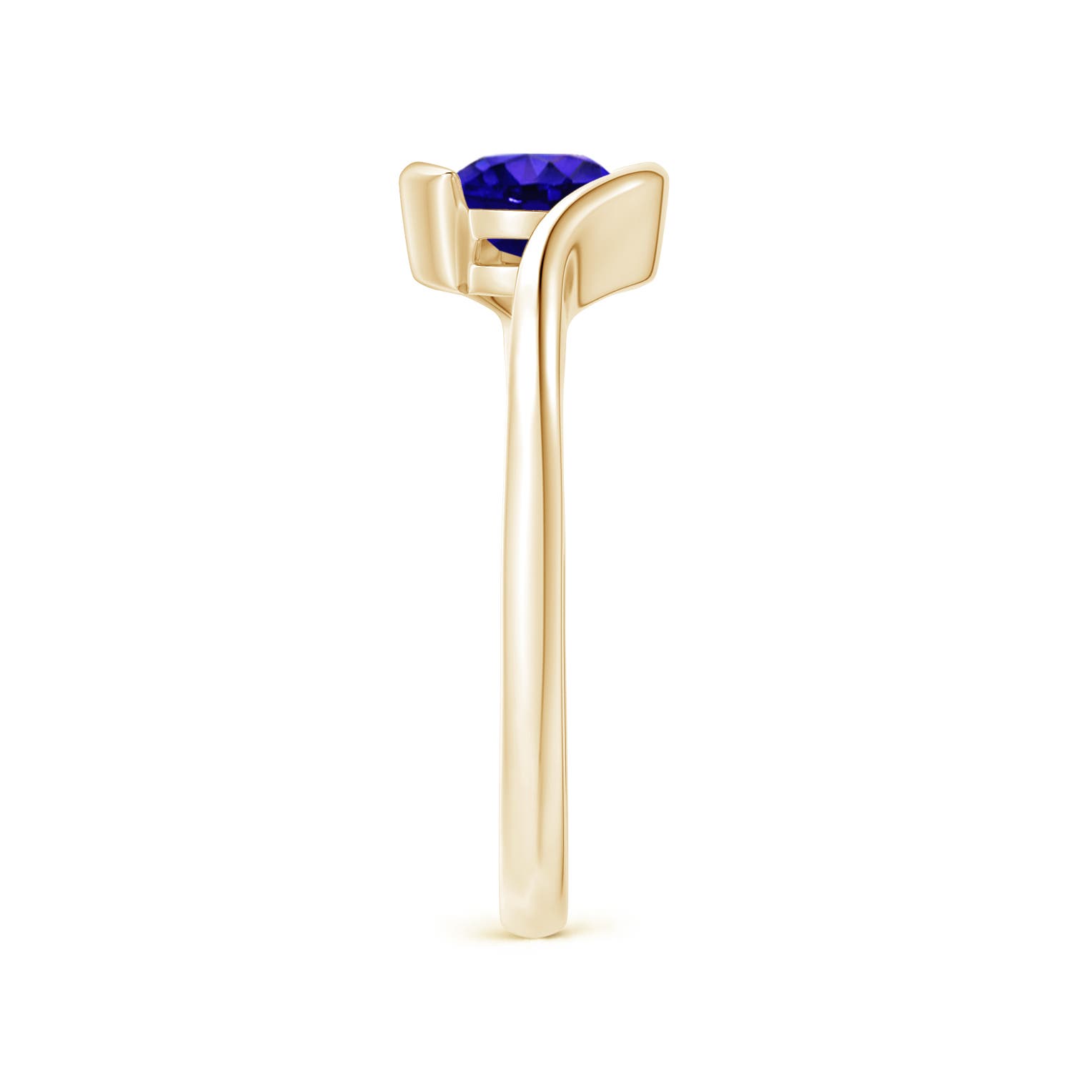 AAAA - Tanzanite / 0.9 CT / 14 KT Yellow Gold