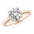 2 carats