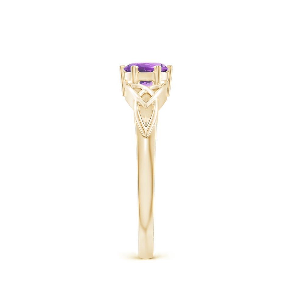 5mm A Solitaire Round Amethyst Celtic Knot Ring in Yellow Gold side-2