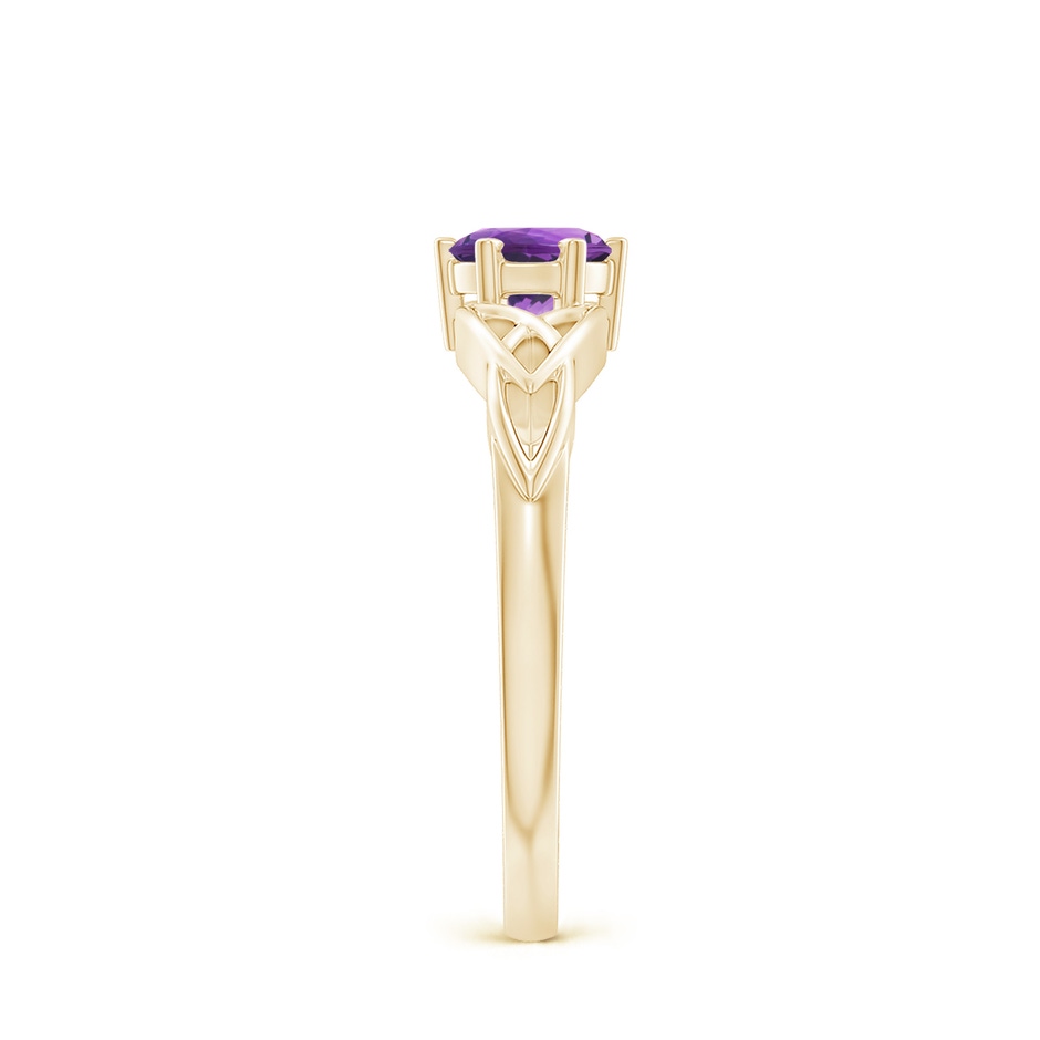 5mm AAA Solitaire Round Amethyst Celtic Knot Ring in Yellow Gold side-2