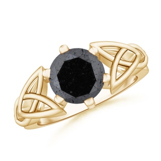 Round A Enhanced Black Diamond