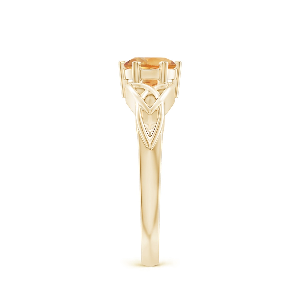 6mm A Solitaire Round Citrine Celtic Knot Ring in Yellow Gold side-2