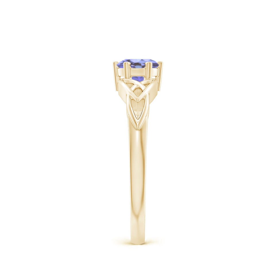 5mm AA Solitaire Round Tanzanite Celtic Knot Ring in Yellow Gold side-2