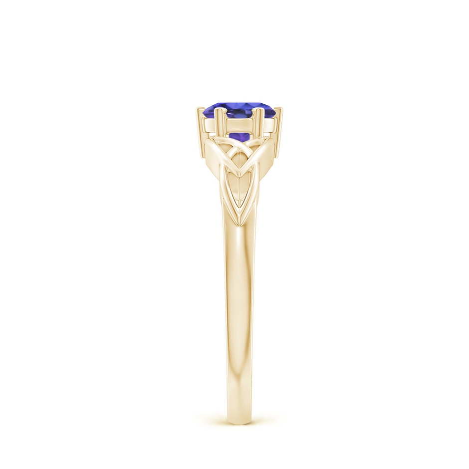 5mm AAA Solitaire Round Tanzanite Celtic Knot Ring in Yellow Gold side-2