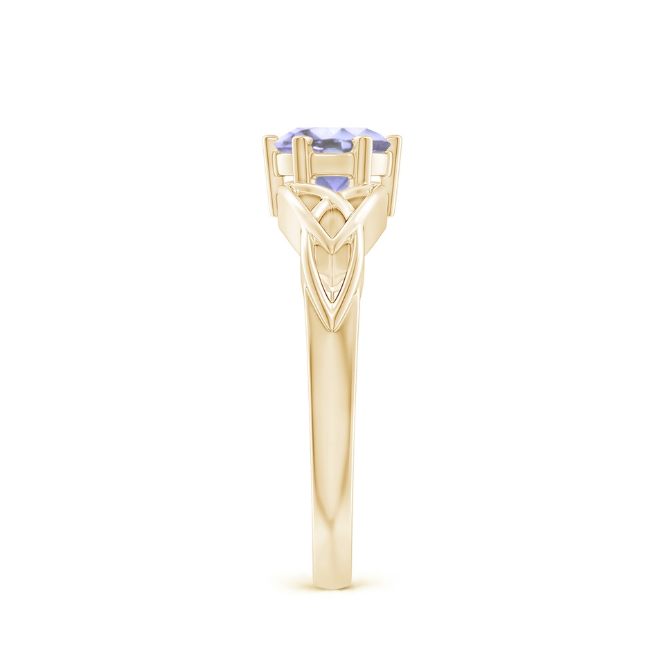 6mm A Solitaire Round Tanzanite Celtic Knot Ring in Yellow Gold side-2
